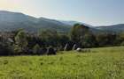 Teren intravilan cu priveliste superba la munte in Valea Doftana