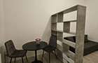 Apartament cu 1 camera, curte proprie separata Ultracentral Oradea - 6