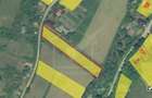 Teren intravilan 1900 mp, TAGA sat NASAL, pretabil constructie, zona verde - 1