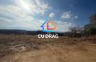 OPORTUNITATE TEREN Bungard INTRAVILAN cu toate utilitatile