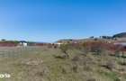 Teren de 1.296 mp Sanpetru zona Livada, front stradal 18, utilitati - 3