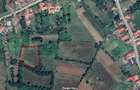 Vand Teren Extravilan in Tismana, sat Ungureni 3195mp - 3euro mp - 2