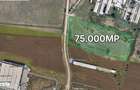 Teren intravilan 75000mp cu PUZ zona Viile Sibiului DN14 - 1