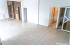 Spatiu 200 mp cu terasa, ideal pentru HoReCa, zona Turt - Turt (Satu-Mare) - 5