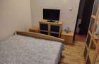 Ofer Spre Inchiriere Ap 2 cam Craiovei - 6