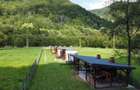 Teren superb cu bungalouri (casute) montane Satic - 7