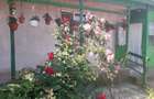 Casa de vanzare la Revarsarea, jud. Tulcea - 4
