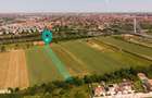 Teren Intravilan De 4.500 Mp Aradul Nou - 10