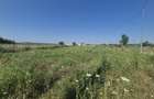 Teren intravilan in Izvorani Delta Snagov