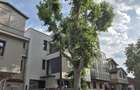 Vila | Parcul Carol | Rezidential/Comercial | - 1