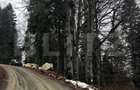 Teren unic, exclusivist 4000 mp, in inima muntilor, Sinaia - Sinaia (Prahova)