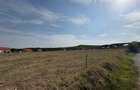 Teren intravilan 2 Ha -Ortelec parcelabil 2800eur/ar neg - 3