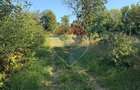 Teren constructie casa in Cernesti, pe deal - 5