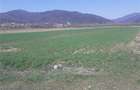 Teren de 2000 mp, în Jiblea Nouă - 3