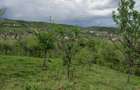 Vand teren extravilan - 3