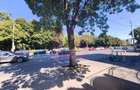 Vila Ni?u Vasile | 4 camere | 270 mp teren - 15