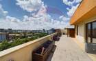 Penthouse de 4 camere cu terasa panoramica impresionanta de 355 mp - 9