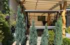 Casa + Gradina Comane?ti zona str. V. Alexandri - 1