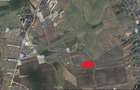 Teren Albota zona Statiune Papillon 10.000 mp intabulat asfalt - 10