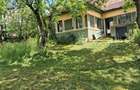 Casa la tara , curte/gradina 3450 m2 PRET NOU - 8