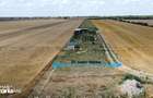 TEREN 10.000 MP VLADIMIRESCU / ACCES FOARTE BUN - 7