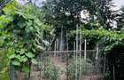 Apartament 2 camere, 74 mp, renovabil, zona Ultracentral - 7