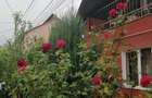 Vand casa in Deva sau schimb cu apartament sau garsoniera+diferen?a - 3