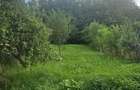 Casa de vanzare cu anexe si gradina - 3