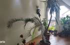 Casa in Deva, zona 22 Decembrie- Balcescu - 9