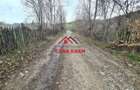 Teren extravilan Valea Doftanei 20.500 mp 6e mp - 2
