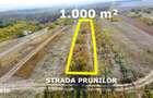 Teren intravilan cu livada 1.000 m2 in Ardud-Vii, view spectaculos!