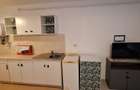 Apartament 1 camera str Clinicilor