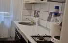Inchiriere Apartament 2 Camere Craiovita Noua (Zona Lidl Rocada / Str. Elena Farago) - 3