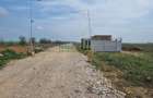 TEREN INDUSTRIAL 42.000 MP - FUNDENI - A2 PUZ APROBAT - 4