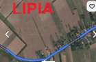 Vindem teren extravilan aproape de autostrada - 1
