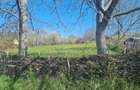 Gradina intravilan 16 arii - 1
