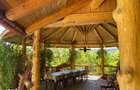 Domeniu exclusivist 17.000 mp | Vila luxury cu piscina & SPA Carbu - 6