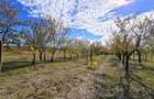 VIDEO | Teren intravilan cu livada – 1.000 m² in Ardud-Vii, cu view spectaculos!
