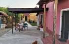 Vand casa in sat VLADULENI - 7
