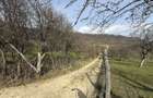 OPORTUNITATE !Teren 1 Hectar Strada Nucului -PRIVELISTE PANORAMICA - 3