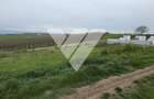 Investitie - Teren intravilan 536 mp Sura Mare ideal constructii - 2