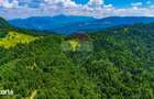 Refugiu in natura la Sacele | Teren 7.000 mp cu rau | Comision 0% - 1