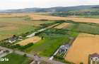 Teren de 10.000 m.p. cu deschidere la DN in Silistea/Todiresti - VS - 6