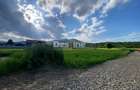 Teren de vanzare Alexandru cel Bun 20.000 Euro 735mp - 9