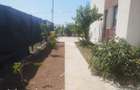 Vila Duplex cu curte generoasa |Otopeni - 9