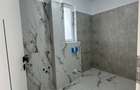 Vanzare Casa/Vila P+1+M Bragadiru-Celofibrei Ansamblu id nr 40 - 19