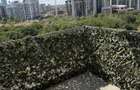 Apartament 2 camere/zona Aviatiei/ Onix Park North - 6