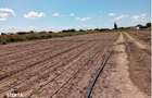 Teren extravilan Adunatii Copaceni, ID: R3345028