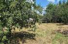 Casă cu Teren 800 Mp în Dăbâca - 6