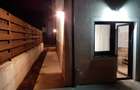Apartament cu 2 camere si gradina de inchiriat - 3